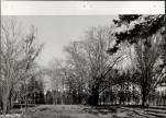 Ewidencja parkowa, skan nr 15