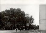 Ewidencja parkowa, skan nr 16