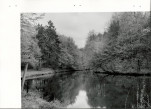 Ewidencja parkowa, skan nr 22