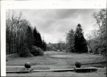 Ewidencja parkowa, skan nr 30