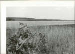 Ewidencja parkowa, skan nr 25