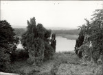 EP - Ewidencja parkowa, skan nr 28