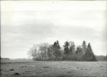 Ewidencja parkowa, skan nr 21