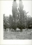 EP - Ewidencja parkowa, skan nr 11