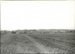 Ewidencja parkowa, skan nr 15