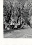 Ewidencja parkowa, skan nr 24