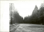 Ewidencja parkowa, skan nr 24