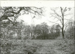 Ewidencja parkowa, skan nr 39