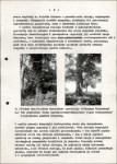 Ewidencja parkowa, skan nr 28