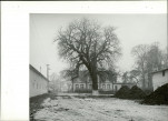 Ewidencja parkowa, skan nr 22