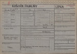KZ - Karta zielona, skan nr 1
