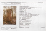 KB - Karta biała, skan nr 7