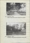 Ewidencja parkowa, skan nr 11