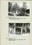 Ewidencja parkowa, skan nr 11