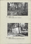Ewidencja parkowa, skan nr 10