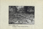 EP - Ewidencja parkowa, skan nr 16