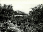 Ewidencja parkowa, skan nr 17