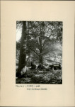 Ewidencja parkowa, skan nr 19