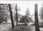 EP - Ewidencja parkowa, skan nr 29