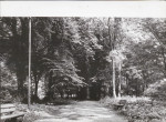 Ewidencja parkowa, skan nr 24