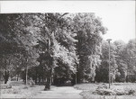 Ewidencja parkowa, skan nr 28