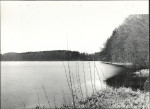 EP - Ewidencja parkowa, skan nr 26