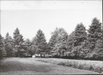 Ewidencja parkowa, skan nr 15
