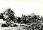 Ewidencja parkowa, skan nr 22