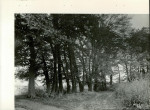 Ewidencja parkowa, skan nr 21