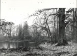 Ewidencja parkowa, skan nr 18