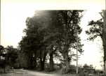 Ewidencja parkowa, skan nr 20