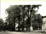 Ewidencja parkowa, skan nr 22