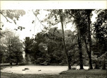 Ewidencja parkowa, skan nr 26
