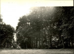 Ewidencja parkowa, skan nr 34