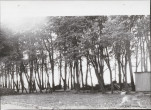 Ewidencja parkowa, skan nr 20