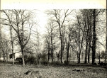 Ewidencja parkowa, skan nr 20