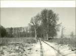 EP - Ewidencja parkowa, skan nr 49