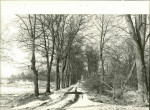 EP - Ewidencja parkowa, skan nr 57