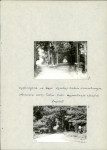 EP - Ewidencja parkowa, skan nr 21