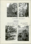 EP - Ewidencja parkowa, skan nr 29