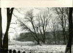 EP - Ewidencja parkowa, skan nr 39