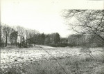 EP - Ewidencja parkowa, skan nr 43