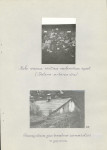 EP - Ewidencja parkowa, skan nr 32