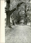 Ewidencja parkowa, skan nr 16
