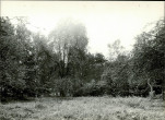 Ewidencja parkowa, skan nr 20