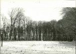 EP - Ewidencja parkowa, skan nr 40
