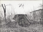 EP - Ewidencja parkowa, skan nr 32