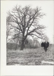 EP - Ewidencja parkowa, skan nr 34