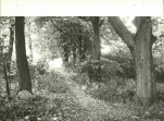 Ewidencja parkowa, skan nr 34