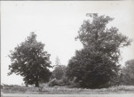 Ewidencja parkowa, skan nr 20